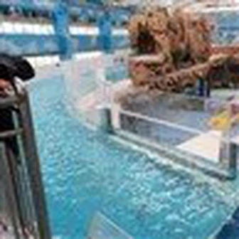 Cena akrylového bazénu